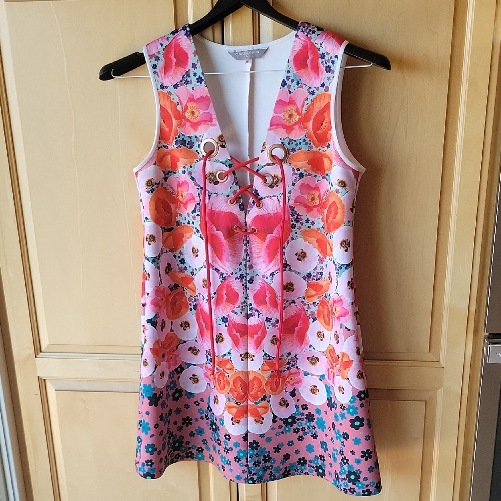 Clover Canyon Floral Dress